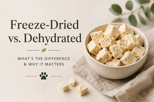 Freeze-Dried vs Dehydrated Foods — What’s the Difference & Why It Matters
